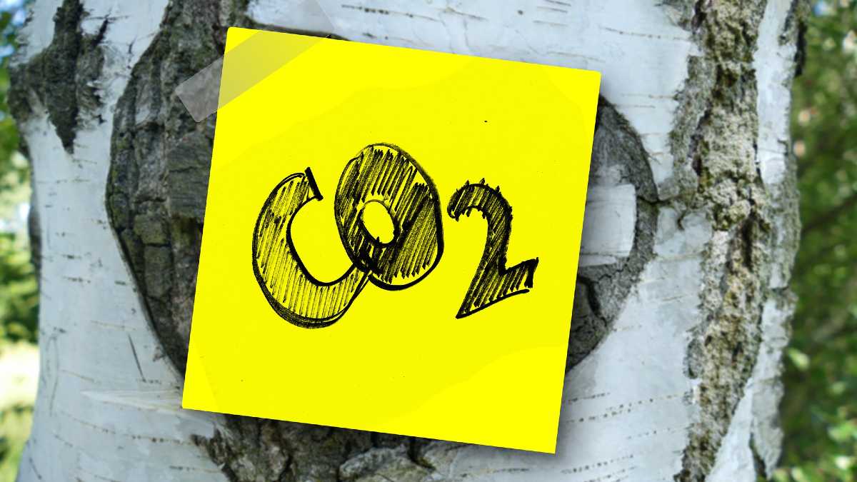 dióxido de carbono