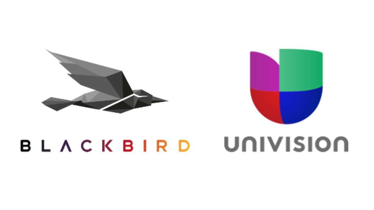 univision, blackbird