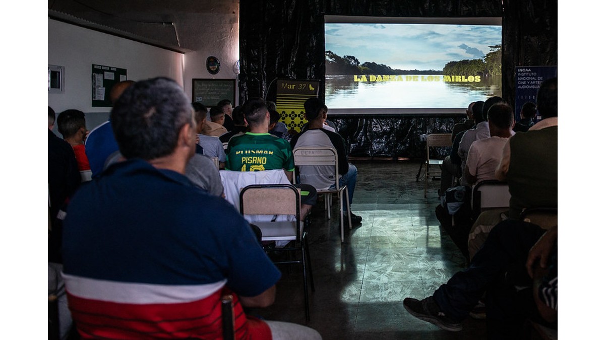Festival de Cine de Mar del Plata