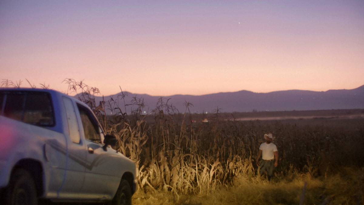 Capturando las historias de "Jaripeo"
