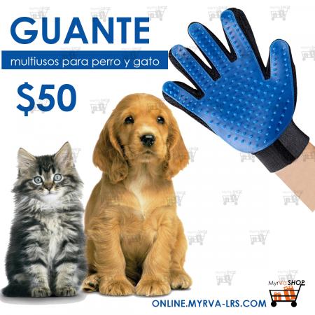 2019_03_12_17_46_08_GUANTE_-_copia.jpg.jpeg