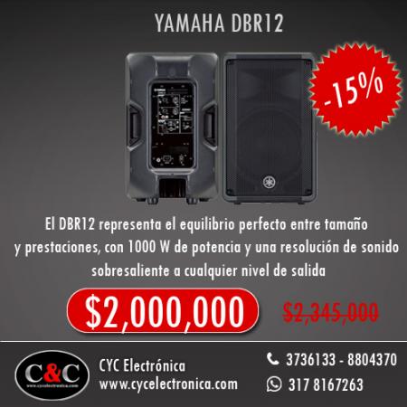 20170708111640_yamaha-dbr12.jpg.jpeg